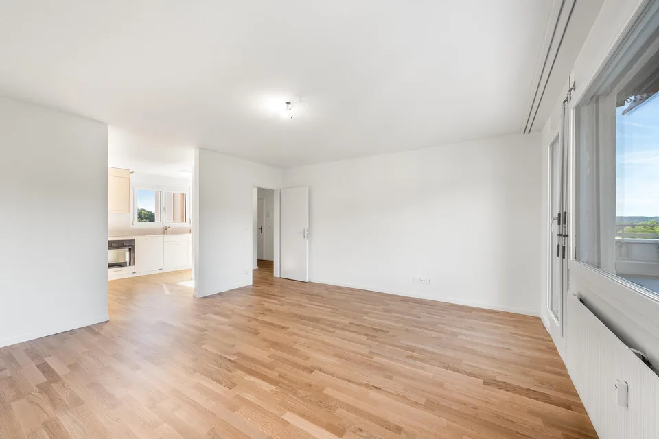 Rêve de grenier fraîchement rénové avec grande terrasse sur le toit vous cherche !