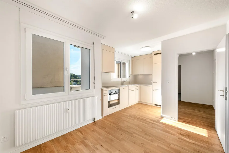 Rêve de grenier fraîchement rénové avec grande terrasse sur le toit vous cherche !