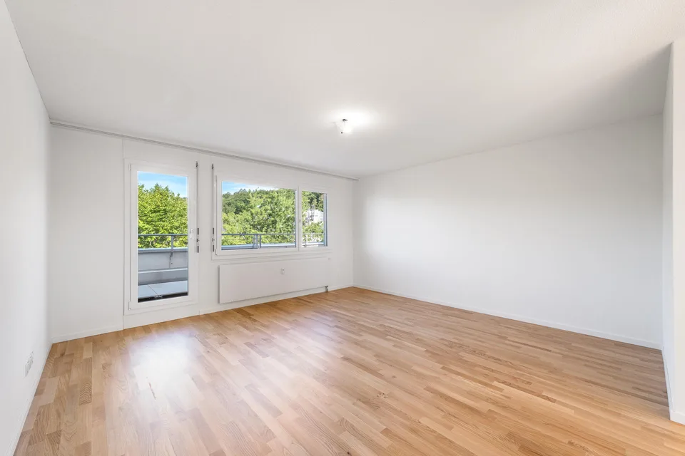 Rêve de grenier fraîchement rénové avec grande terrasse sur le toit vous cherche !