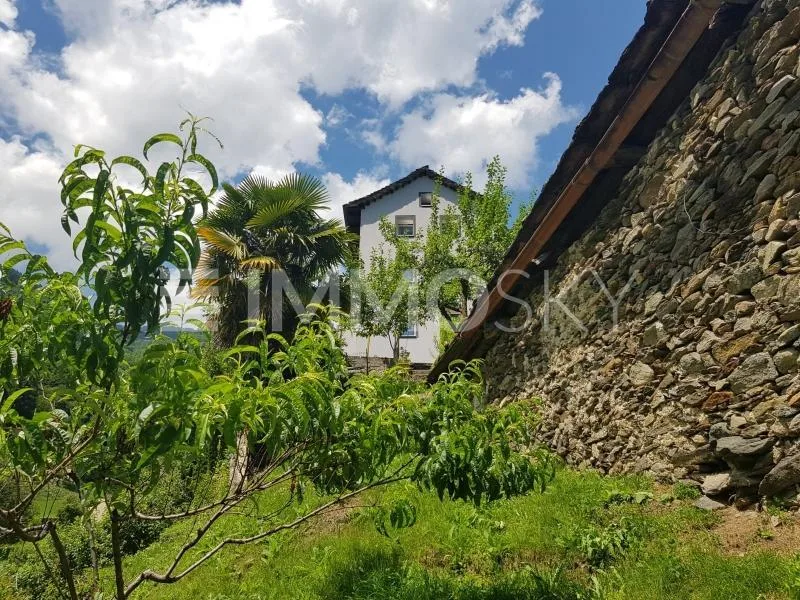 Leben im direkten Kontakt mit der Natur