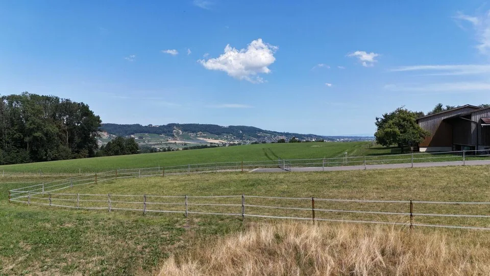 Casa a schiera nuova di 5,5 locali in una zona residenziale rialzata con vista panoramica ad Amlikon-Bissegg (Casa A)