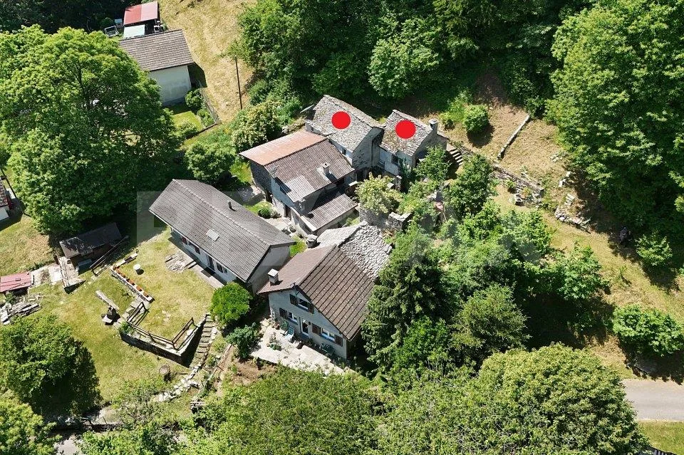 Rustico con giardino e bosco