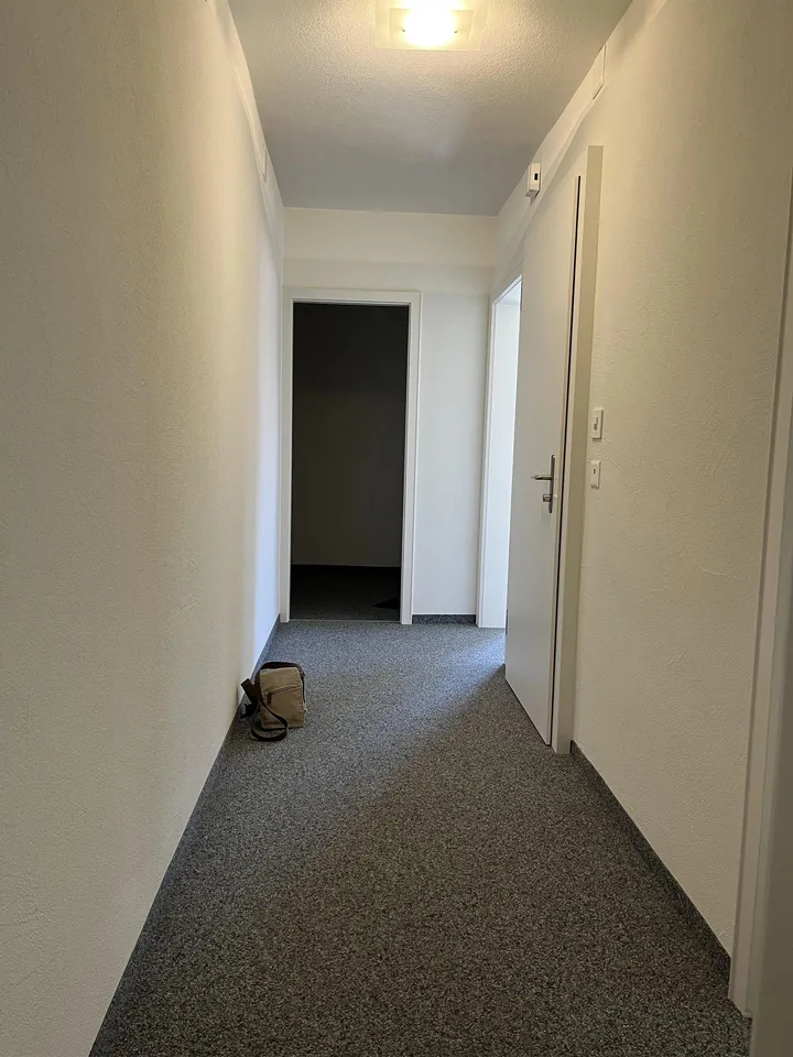 Charmante 4-Zimmer-, Altbauwohnung im renovierten Altbau in Sissach