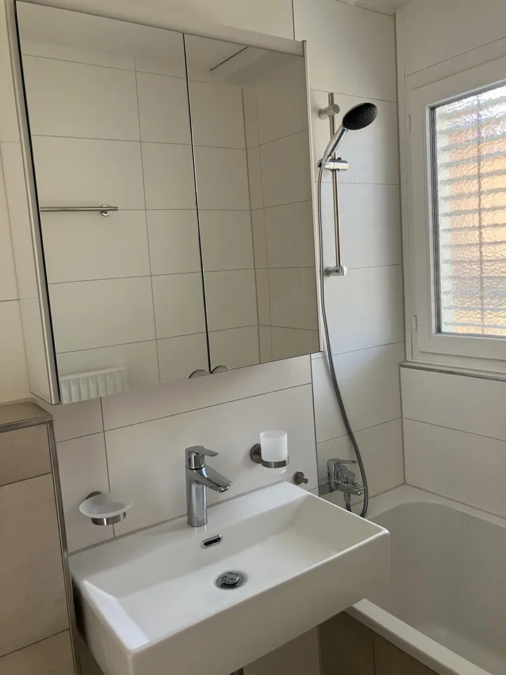 Erstbezug nach Renovation - mit schönen Pluspunkten