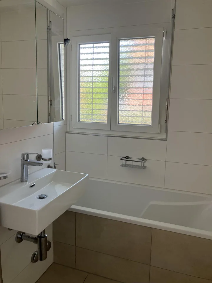 Erstbezug nach Renovation - mit schönen Pluspunkten