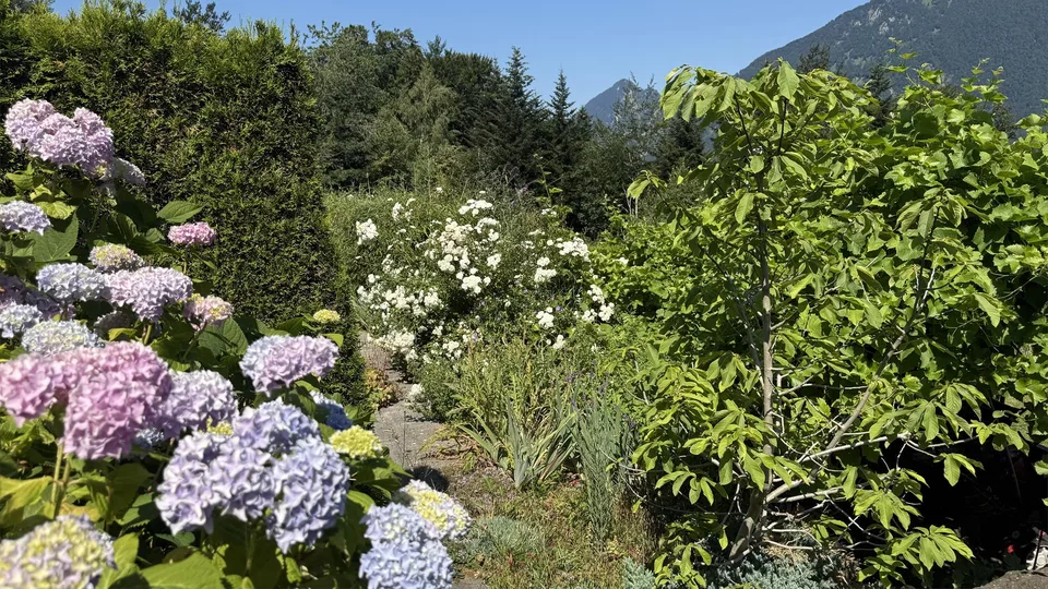 Einfamilienhaus mit unverbaubarer Seesicht Vierwaldstättersee