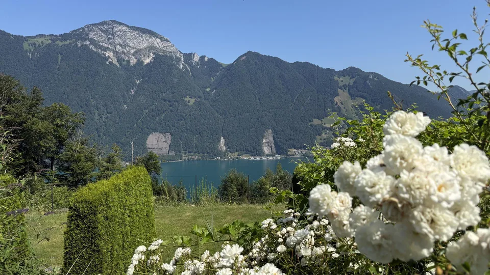 Einfamilienhaus mit unverbaubarer Seesicht Vierwaldstättersee