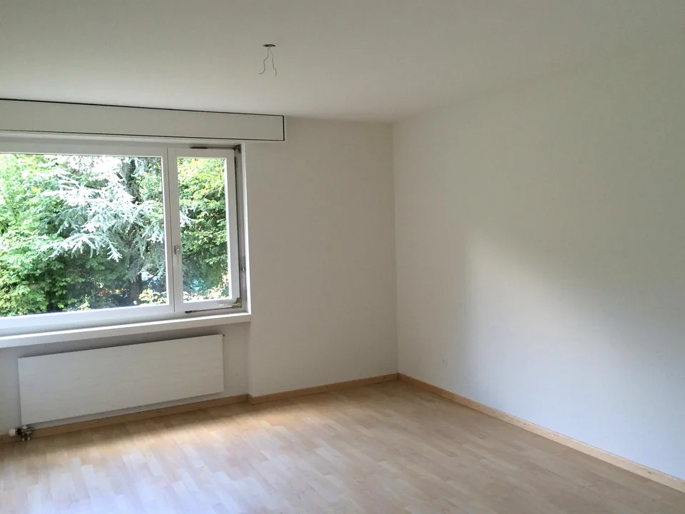 Grosse, lichtdurchflutete 3.5 Zimmer Wohnung