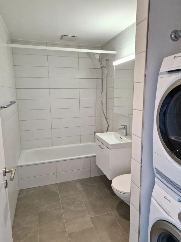 Moderne 2.5-Zimmerwohnung in der Neustadt Luzern Kopie