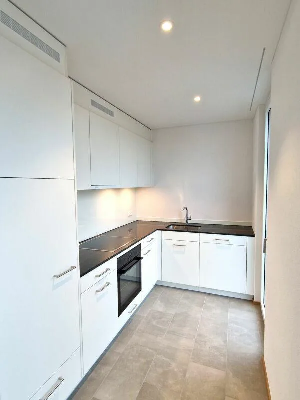 Moderne 2.5-Zimmerwohnung in der Neustadt Luzern Kopie