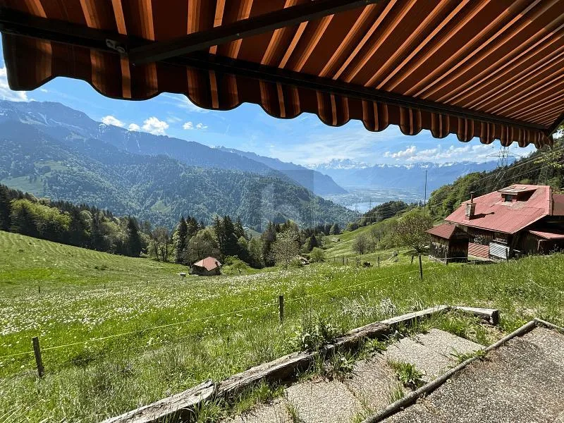ECHTHEIT, AUSBLICK UND ABSOLUTER FRIEDEN