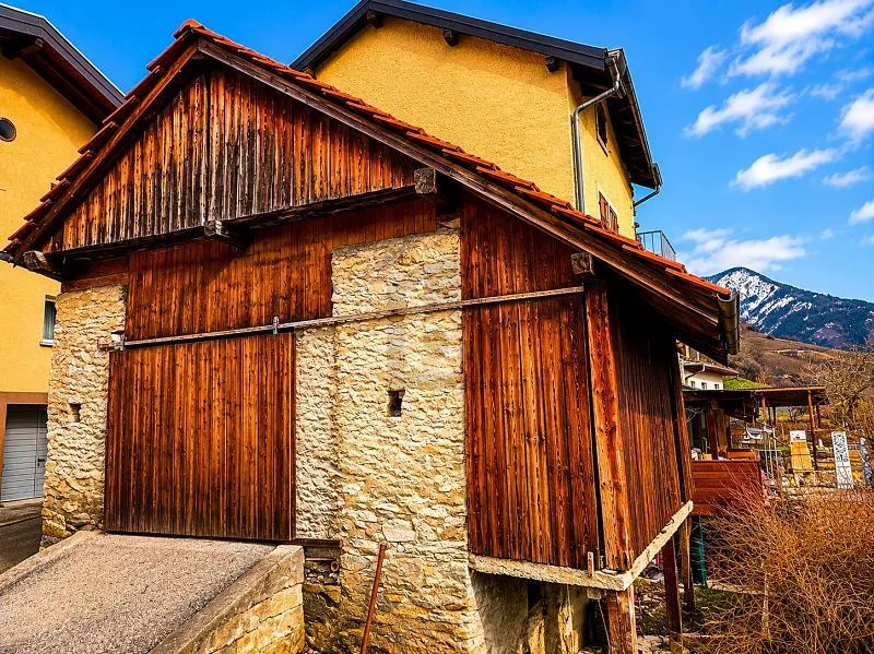 RARA: CON FienILE E GRANDE POTENZIALE