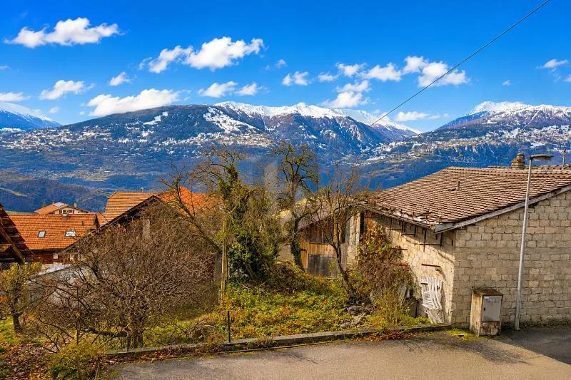 RARA: CON FienILE E GRANDE POTENZIALE