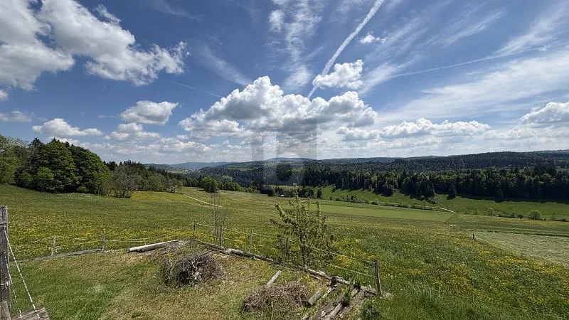 Una vista magnifica sulla natura