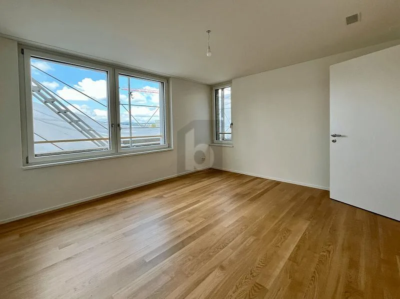 ERSTBEZUG: GROSSER BALKON, SICHT AUF DEN ÜETLIBERG