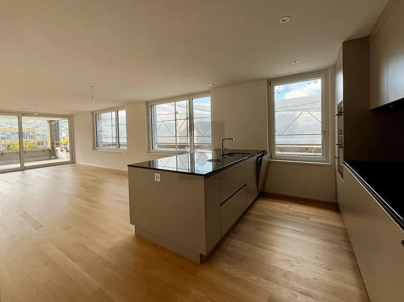 ERSTBEZUG: GROSSER BALKON, SICHT AUF DEN ÜETLIBERG
