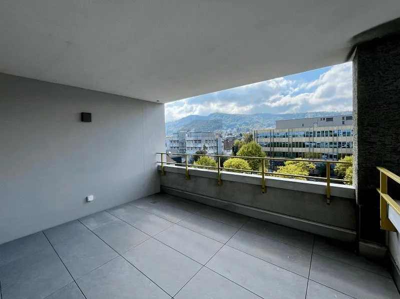 ERSTBEZUG: GROSSER BALKON, SICHT AUF DEN ÜETLIBERG
