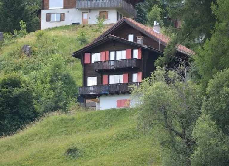 Ferienhaus mit 3 Wohnungen in Tschiertschen