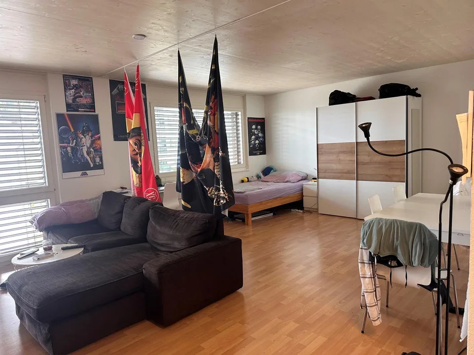 1.5 Zimmerwohnung in Wädenswil