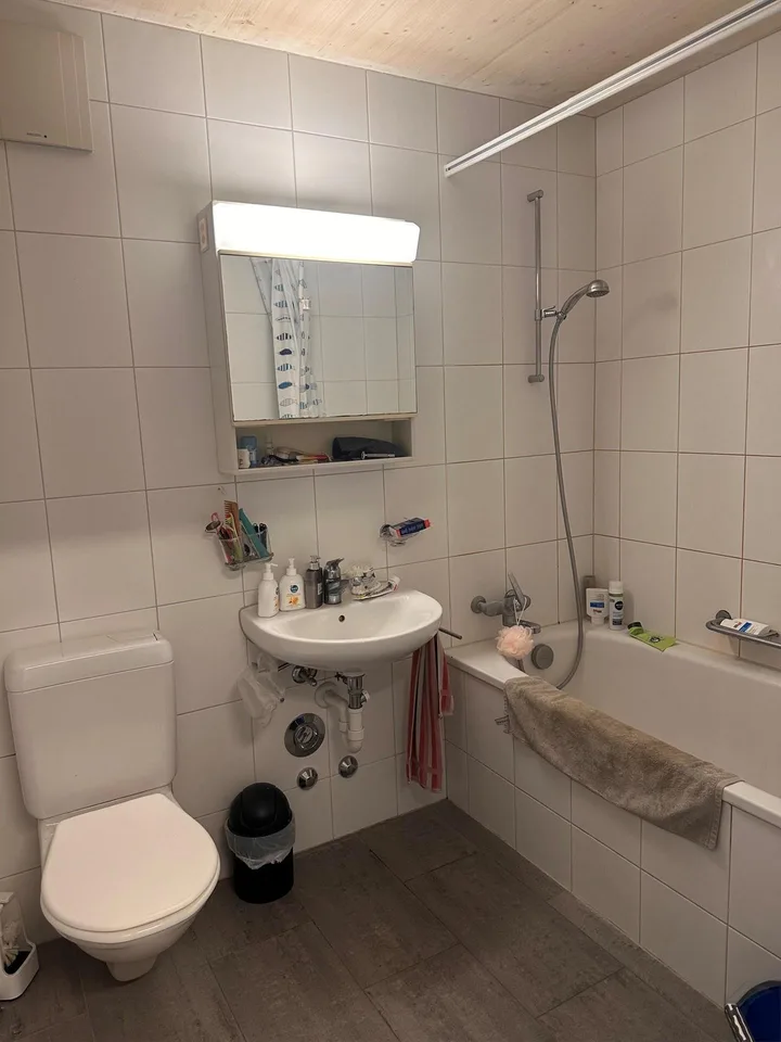 1.5 Zimmerwohnung in Wädenswil