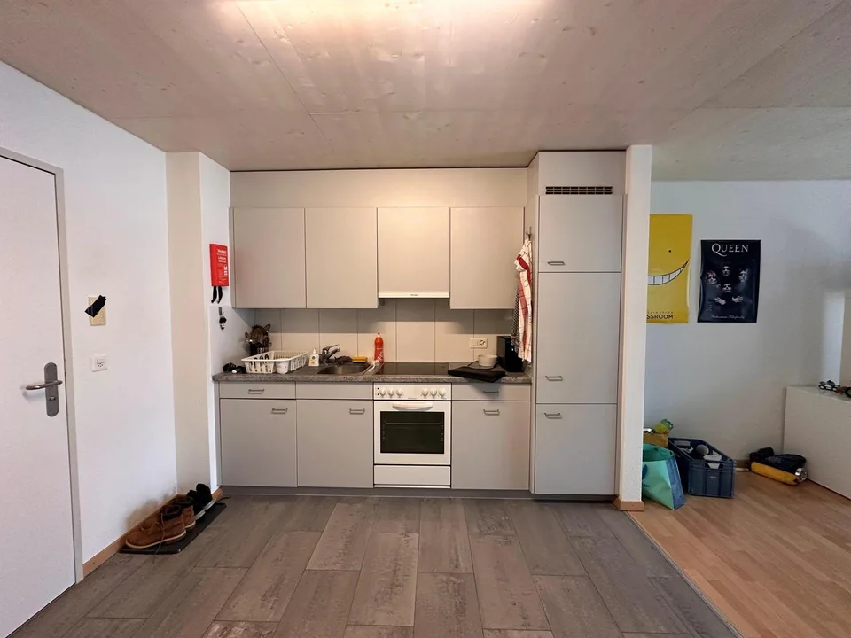 1.5 Zimmerwohnung in Wädenswil