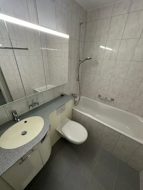Helle und grosszügige 2.5 Zimmerwohnung in mitten Zürich Seebach