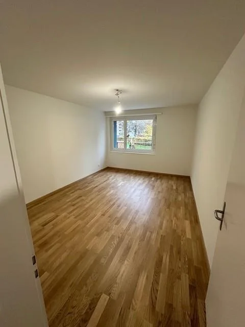 Helle und grosszügige 2.5 Zimmerwohnung in mitten Zürich Seebach
