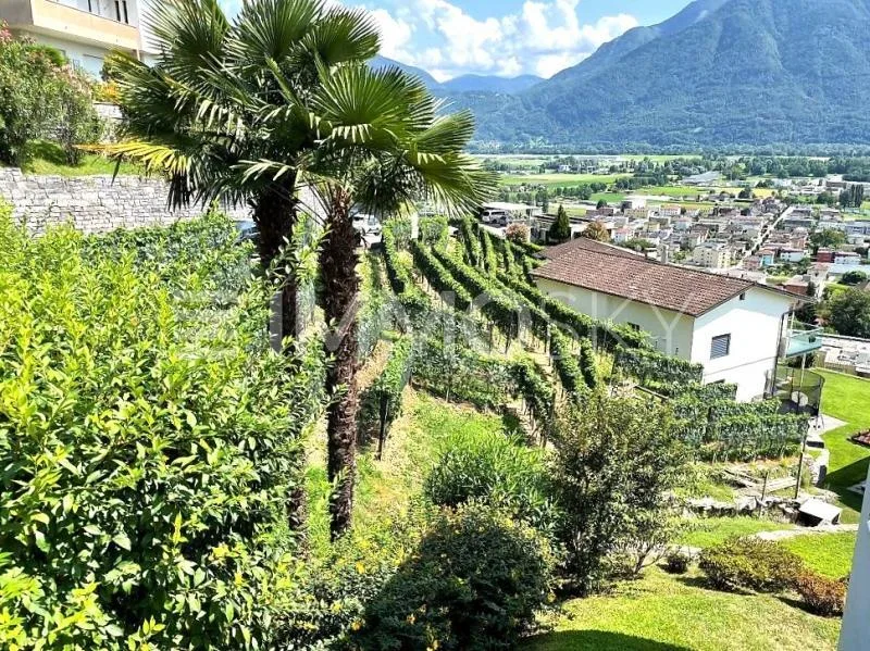 Vista lago e soleggiamento totale