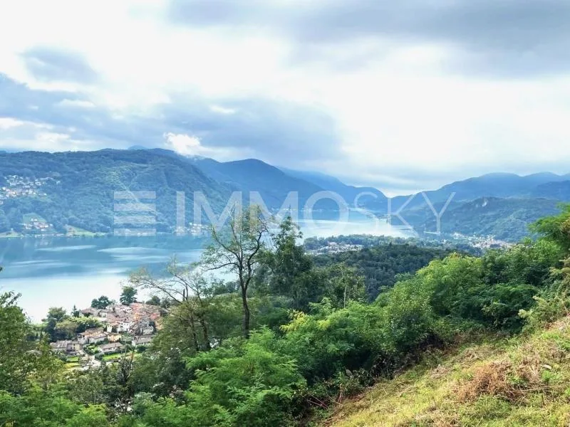 Atemberaubendes Panorama und genehmigte Lizenz