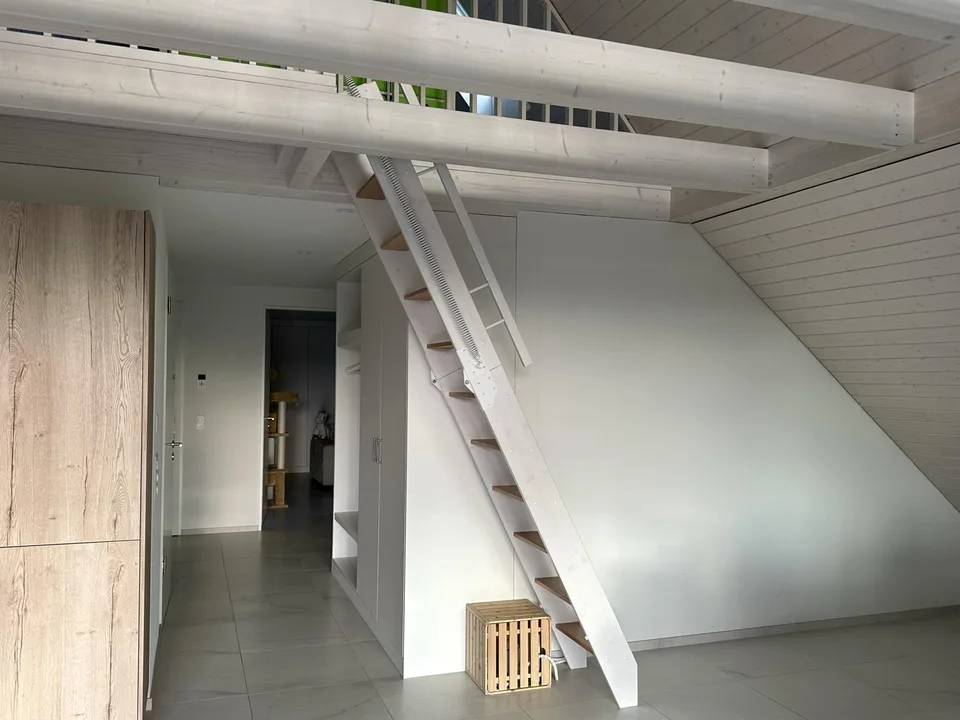 Moderne 3 1/2 Dachwohnung mit zusätzlichem Raum unverbaubare Aussicht