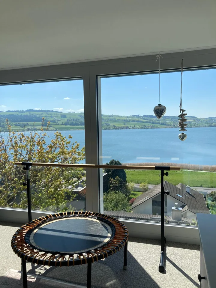 Aussergewöhnliche Maisonette-Dachwohnung mit Seesicht