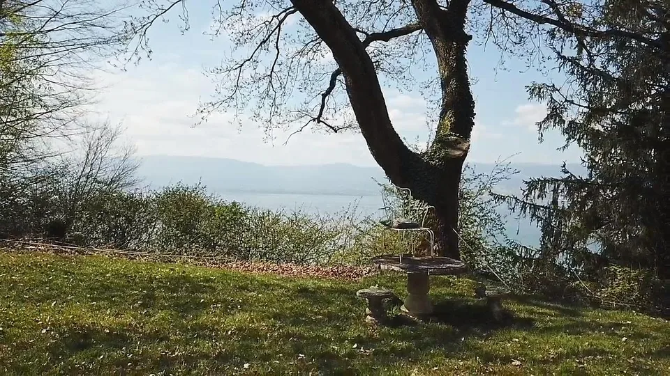 Einmalige Gelegenheit: Baugrundstück mit Seesicht in Vully-les-Lacs