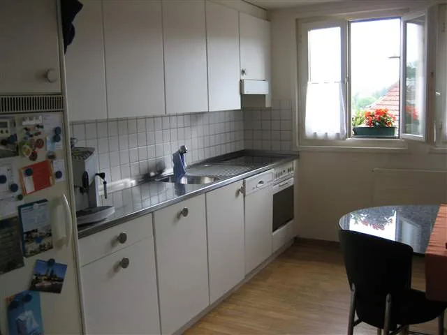 Heimelige Dachwohnung