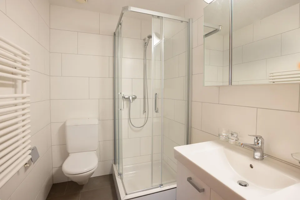 Schöne, helle Dachwohnung mit moderner Küche & Balkon – photo 10 of 16