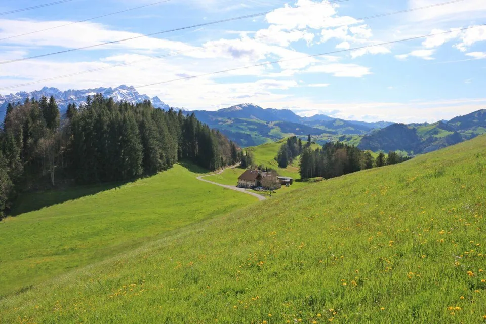 Exklusive Baulandparzellen in Brenden mit traumhafter Alpstein-Pano...