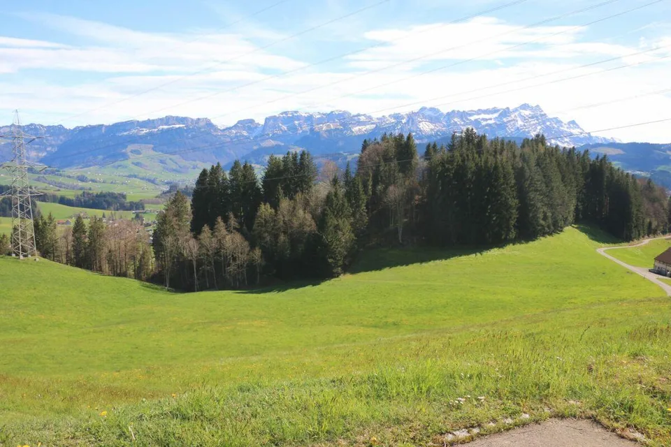 Exklusive Baulandparzellen in Brenden mit traumhafter Alpstein-Pano...