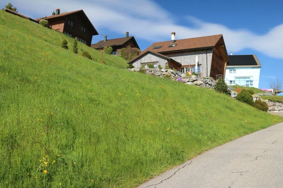 Exklusive Baulandparzellen in Brenden mit traumhafter Alpstein-Pano... – foto 6 di 12