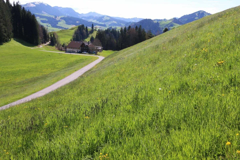Exklusive Baulandparzellen in Brenden mit traumhafter Alpstein-Pano...