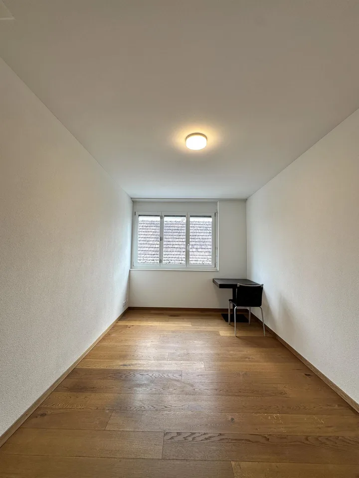 Moderne Wohnung mit See- und Bergsicht im Herzen von Meggen