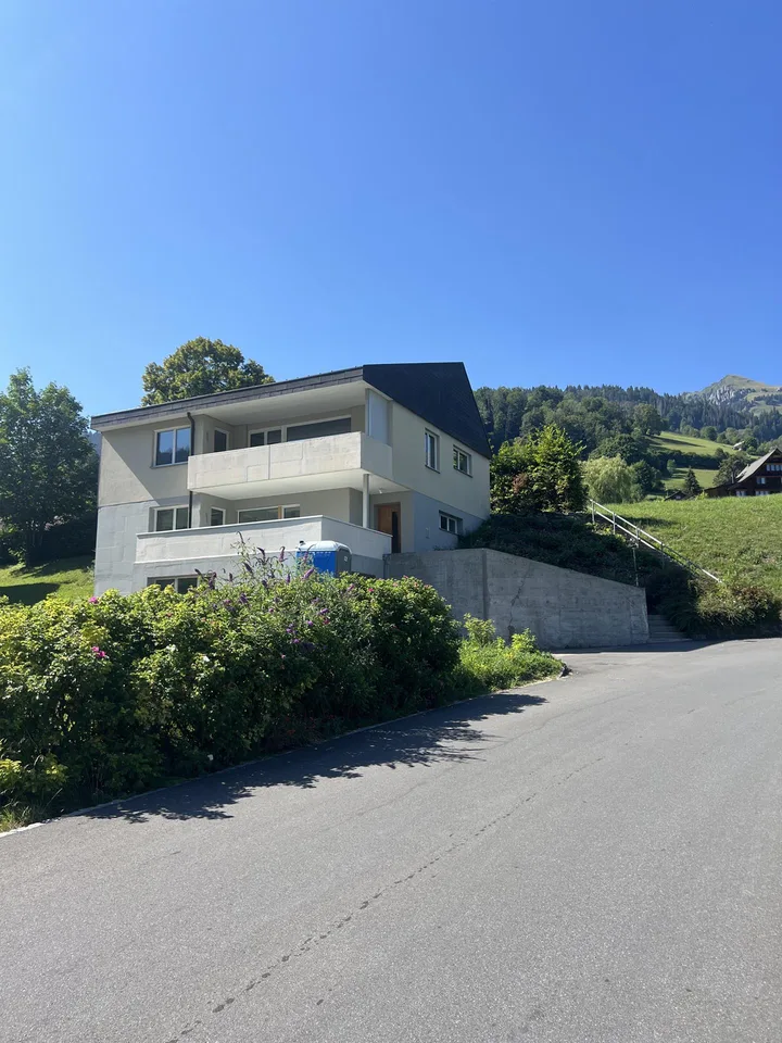Frisch renoviertes, helles Einfamilienhaus