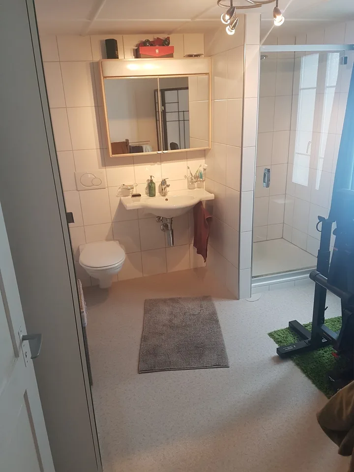2  1/2 Zi -Wohnung Zürichstrasse 11