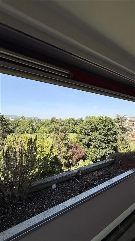 4.5-room apartment with air conditioning and a great view in Liebrüti