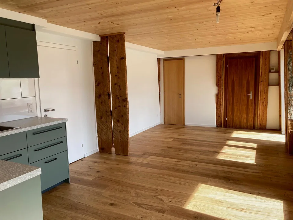 Helle neu renovierte Altbauwohnung
