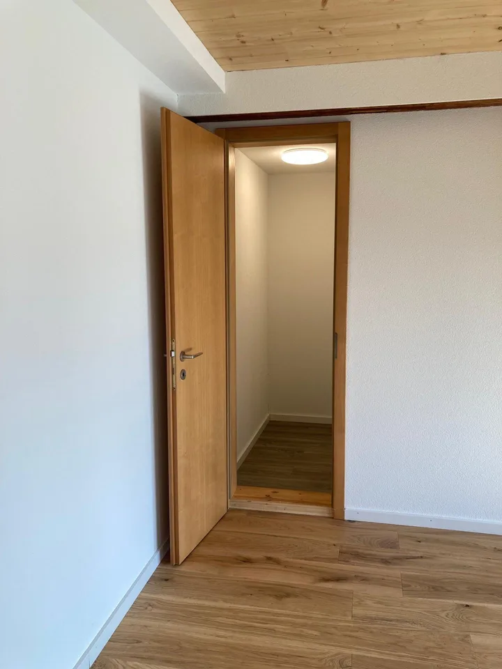 Helle neu renovierte Altbauwohnung