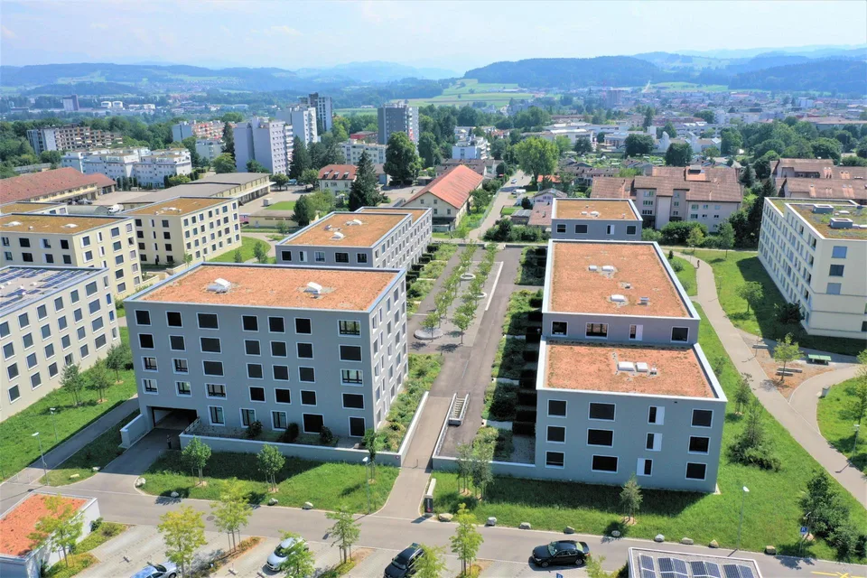 Auf der Sonnenseite des Lebens
