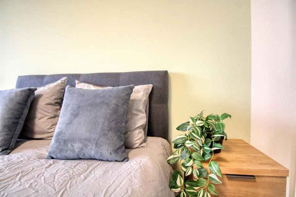 A Modern Coliving Apartment at Avenue de France in Lausanne