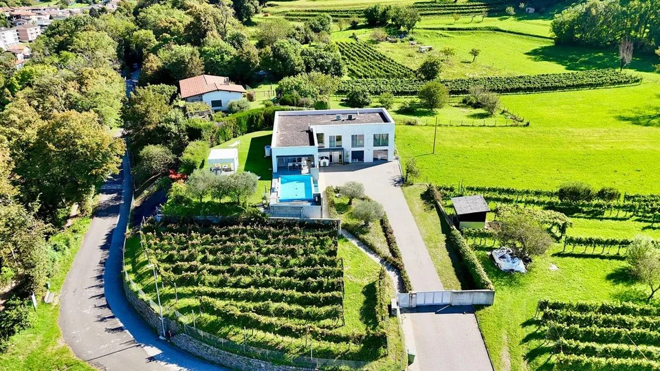 Prestigiosa villa Contemporanea con Giardino, Piscina e Vigna Privata