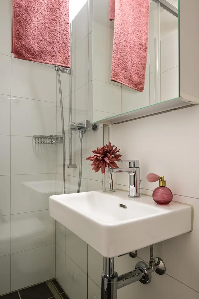 Schöne 4.5Zimmer Wohnng in Schaffhausen zu vermieten
