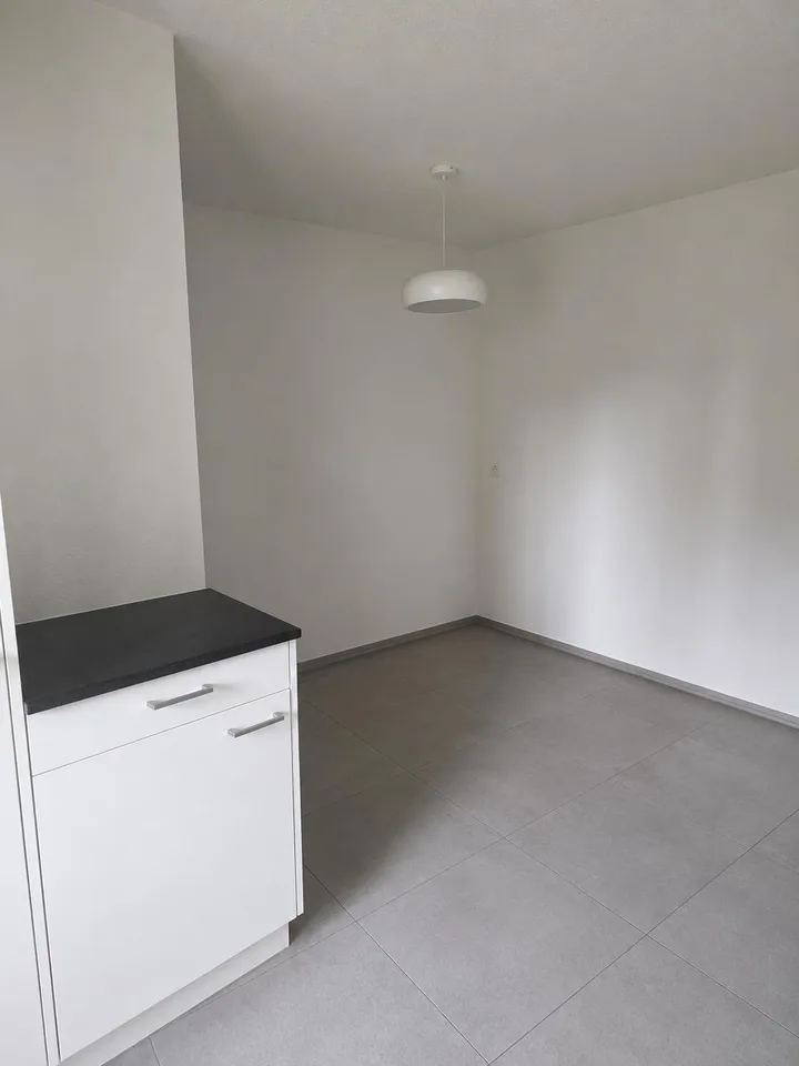 4 1/2 Zimmer-Wohnung