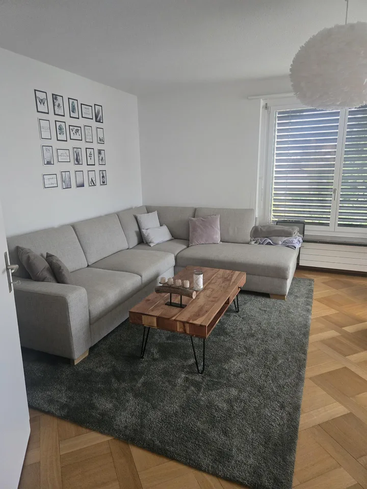 4 1/2 Zimmer-Wohnung